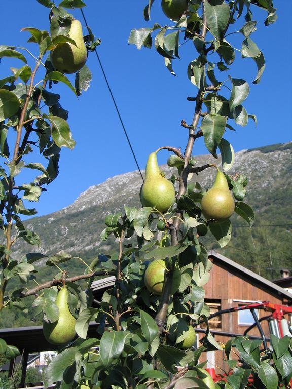 Tourist Farm Zvanc Kobarid Extérieur photo